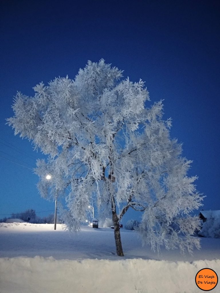 Norte de Noruega en Invierno