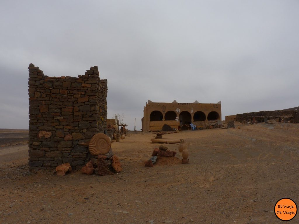 Fósiles en Marruecos