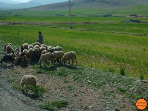 Viaje a Marruecos