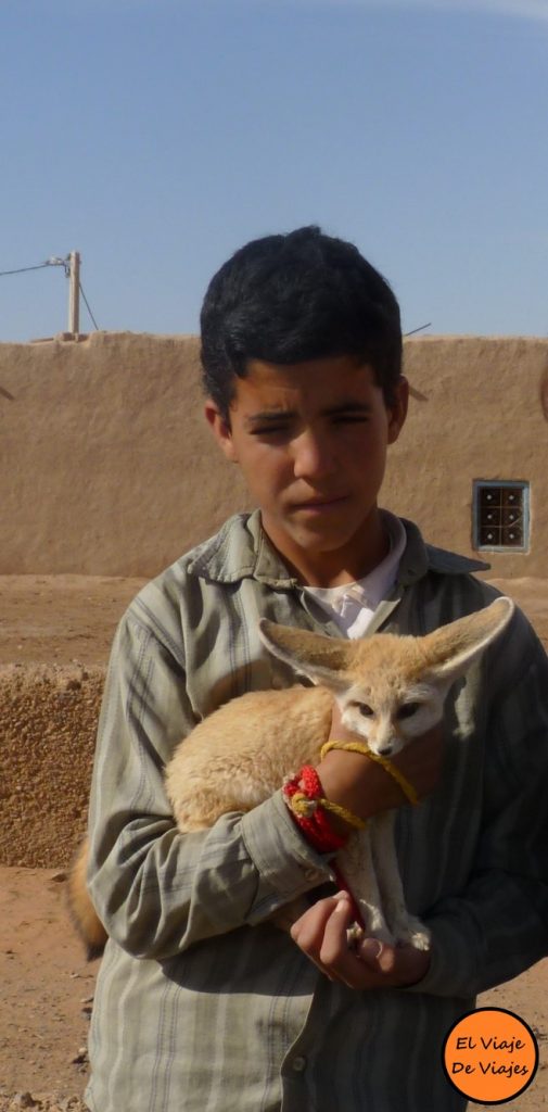 Niño con zorro en Marruecos