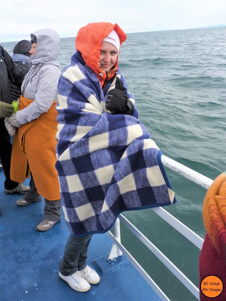 Ballenas Noruega