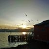 Mehamn
