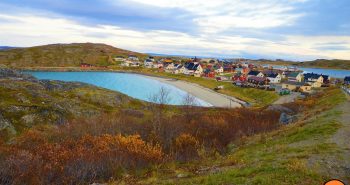 Bugøynes Cangrejo Real