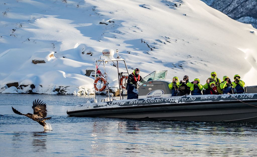 actividades en Svolvaer