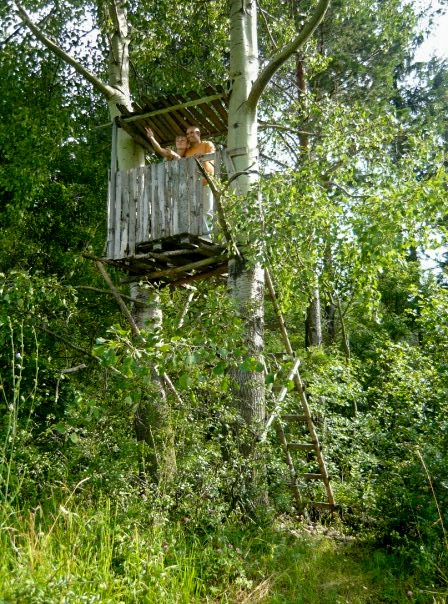 cabaña casa prefabricada